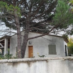 WhatsApp Image 2025-11-27 at 10.43.24