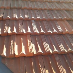 WhatsApp Image 2025-11-27 at 13.53.08