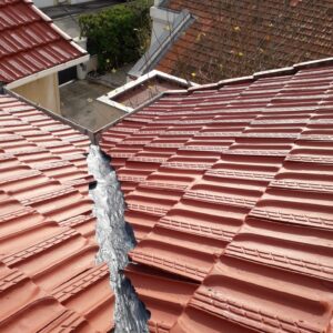 WhatsApp Image 2025-11-27 at 13.54.43