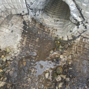 WhatsApp Image 2025-11-27 at 14.03.47 (1)