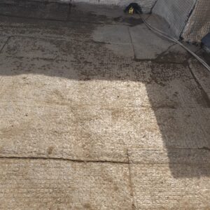 WhatsApp Image 2025-11-27 at 14.03.47 (2)