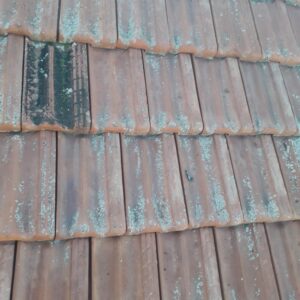 51de536b-9fd5-46d4-a3c4-c9c99fa8b4bf