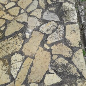 82183c9b-a64f-4465-80b3-f1c835cca519