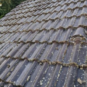 WhatsApp Image 2025-11-27 at 14.14.58