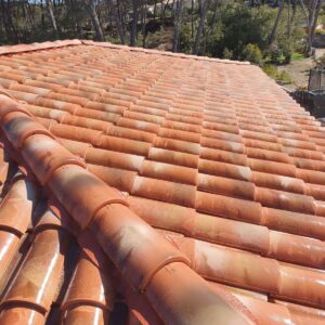 WhatsApp Image 2025-11-28 at 11.59.33