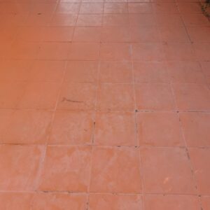 WhatsApp Image 2025-12-12 at 15.25.42