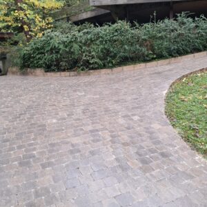 WhatsApp Image 2026-01-23 at 15.49.23