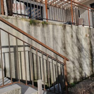 WhatsApp Image 2026-02-03 at 12.27.42